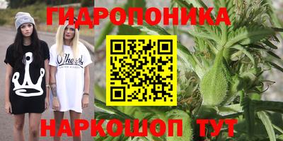 трава Пушкино