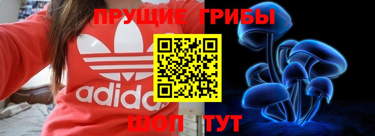Галлюциногенные грибы Magic Shrooms  Псилоцибиновые грибы MAGIC MUSHROOMS  Вход с VPN  Саяногорск 